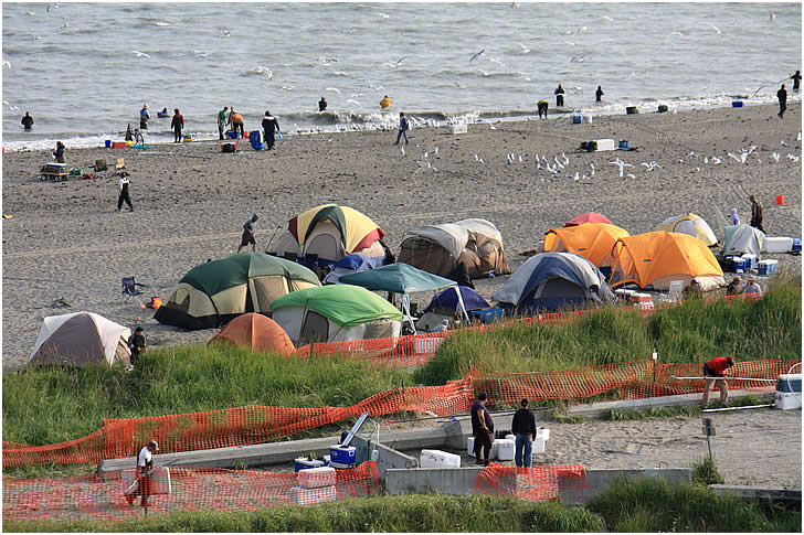Kenai City Beach Camping